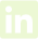 li-icon